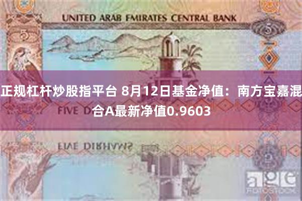 正规杠杆炒股指平台 8月12日基金净值：南方宝嘉混合A最新净值0.9603