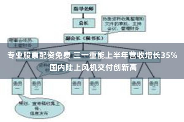 专业股票配资免费 三一重能上半年营收增长35% 国内陆上风机交付创新高