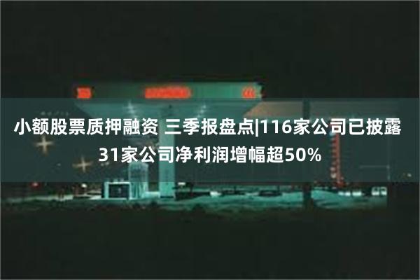 小额股票质押融资 三季报盘点|116家公司已披露 31家公司净利润增幅超50%