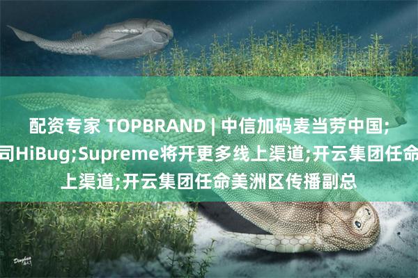 配资专家 TOPBRAND | 中信加码麦当劳中国;百度入股编程公司HiBug;Supreme将开更多线上渠道;开云集团任命美洲区传播副总