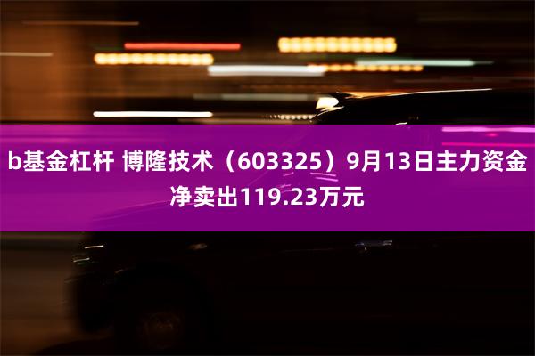 b基金杠杆 博隆技术（603325）9月13日主力资金净卖出119.23万元