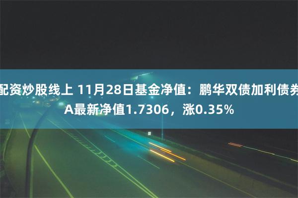 配资炒股线上 11月28日基金净值：鹏华双债加利债券A最新净值1.7306，涨0.35%