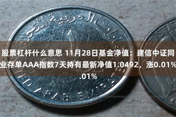 股票杠杆什么意思 11月28日基金净值：建信中证同业存单AAA指数7天持有最新净值1.0492，涨0.01%