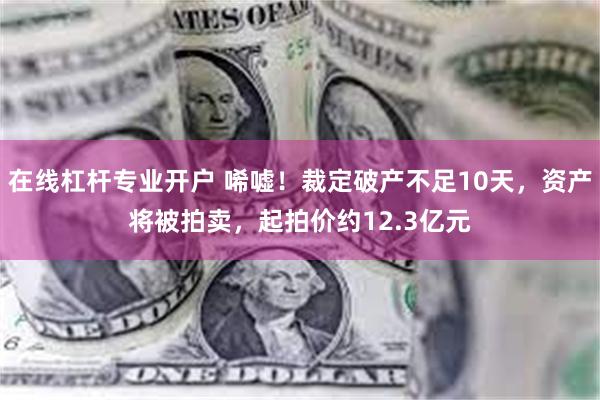 在线杠杆专业开户 唏嘘！裁定破产不足10天，资产将被拍卖，起拍价约12.3亿元