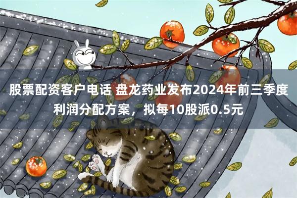 股票配资客户电话 盘龙药业发布2024年前三季度利润分配方案，拟每10股派0.5元