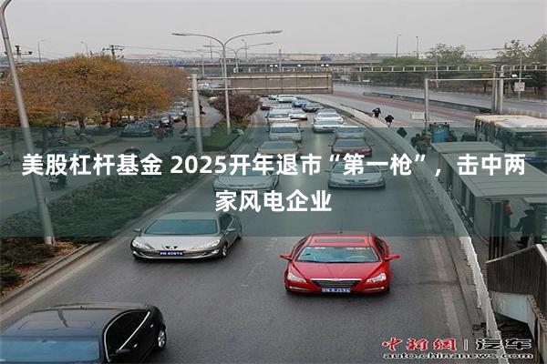 美股杠杆基金 2025开年退市“第一枪”，击中两家风电企业